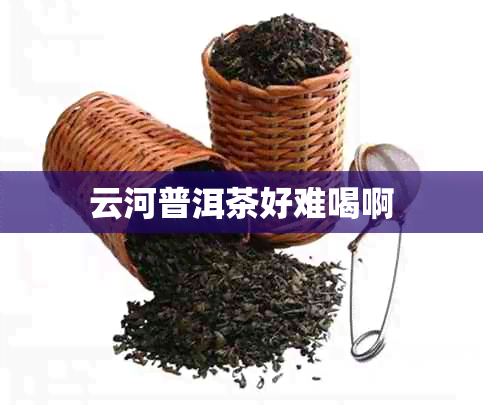 云河普洱茶好难喝啊