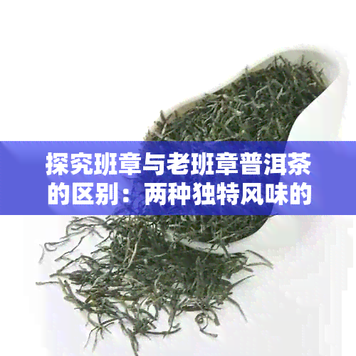 探究班章与老班章普洱茶的区别：两种独特风味的比较