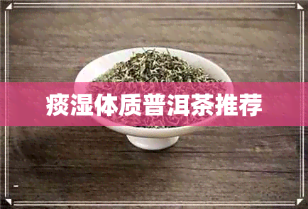 痰湿体质普洱茶推荐