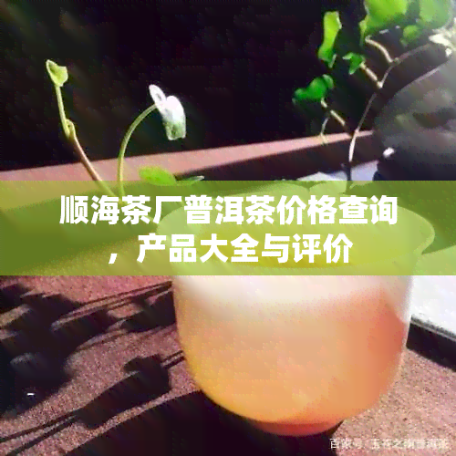 顺海茶厂普洱茶价格查询，产品大全与评价