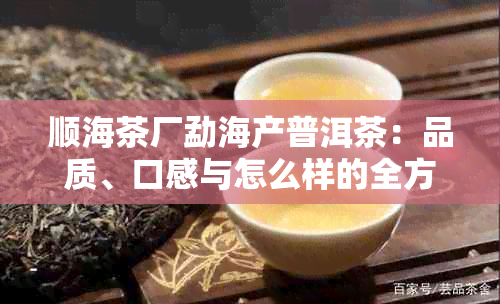 顺海茶厂勐海产普洱茶：品质、口感与怎么样的全方位解析