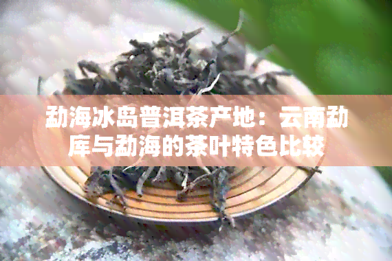 勐海冰岛普洱茶产地：云南勐库与勐海的茶叶特色比较