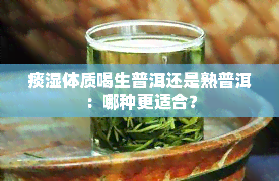 痰湿体质喝生普洱还是熟普洱：哪种更适合？