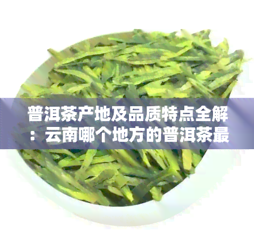 普洱茶产地及品质特点全解：云南哪个地方的普洱茶更优质？