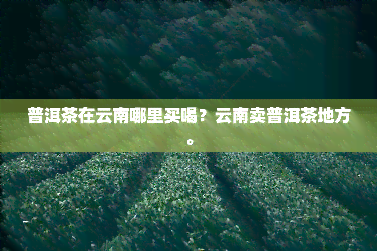 普洱茶在云南哪里买喝？云南卖普洱茶地方。