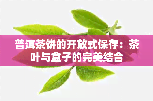 普洱茶饼的开放式保存：茶叶与盒子的完美结合