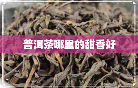 普洱茶哪里的甜香好