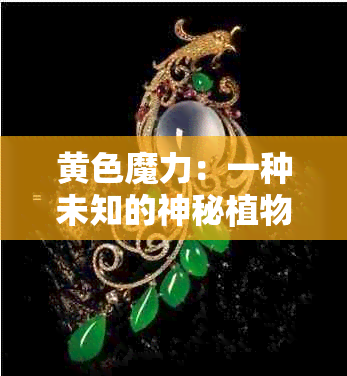 黄色魔力：一种未知的神秘植物种子探秘