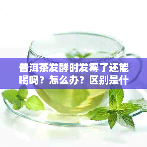 普洱茶发酵时发霉了还能喝吗？怎么办？区别是什么？