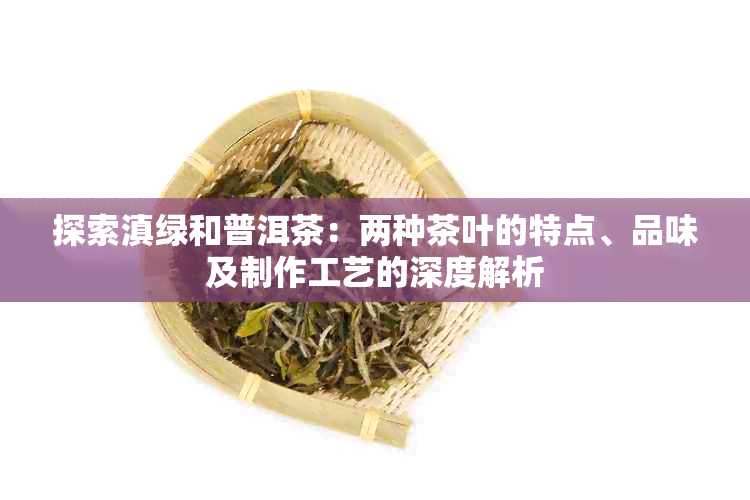 探索滇绿和普洱茶：两种茶叶的特点、品味及制作工艺的深度解析