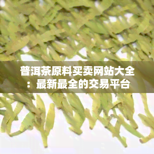 普洱茶原料买卖网站大全：最新最全的交易平台