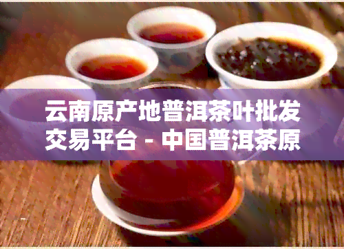 云南原产地普洱茶叶批发交易平台 - 中国普洱茶原料买卖官方网站