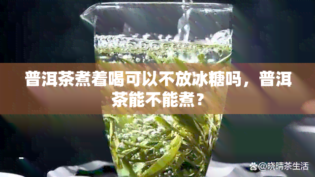 普洱茶煮着喝可以不放冰糖吗，普洱茶能不能煮？