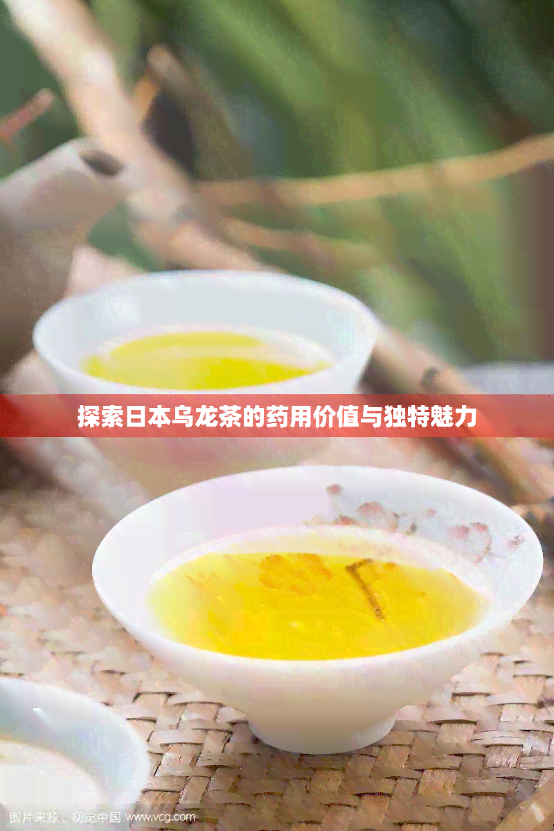 探索乌龙茶的用价值与独特魅力