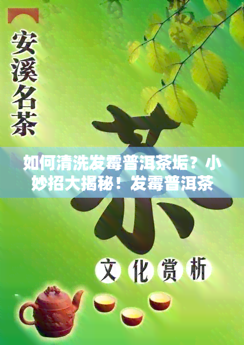 如何清洗发霉普洱茶垢？小妙招大揭秘！发霉普洱茶怎么处理？