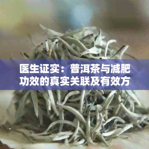 医生证实：普洱茶与减肥功效的真实关联及有效方法