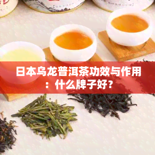 乌龙普洱茶功效与作用：什么牌子好？