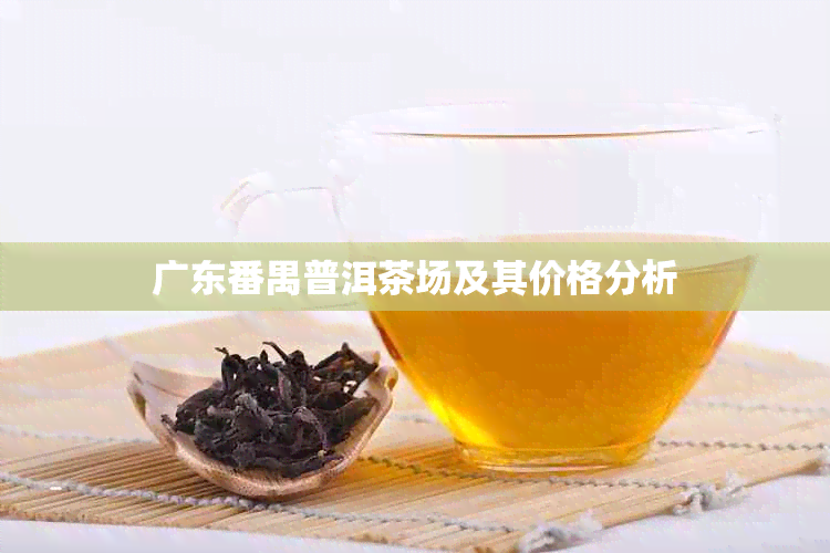 广东番禺普洱茶场及其价格分析