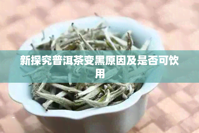 新探究普洱茶变黑原因及是否可饮用