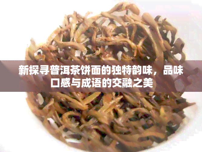 新探寻普洱茶饼面的独特韵味，品味口感与成语的交融之美