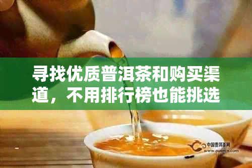 寻找优质普洱茶和购买渠道，不用排行榜也能挑选到心仪的茶叶