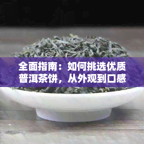 全面指南：如何挑选优质普洱茶饼，从外观到口感的全方位解析