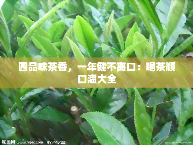 四品味茶香，一年健不离口：喝茶顺口溜大全