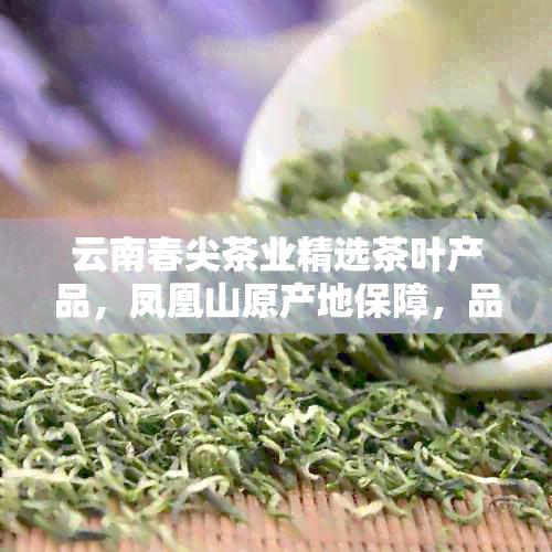 云南春尖茶业精选茶叶产品，凤凰山原产地保障，品质越