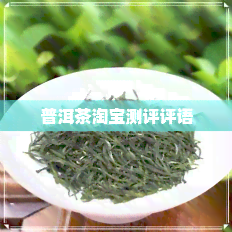 普洱茶淘宝测评评语