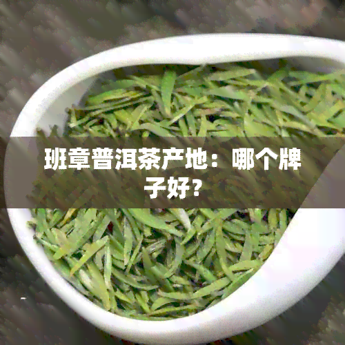 班章普洱茶产地：哪个牌子好？