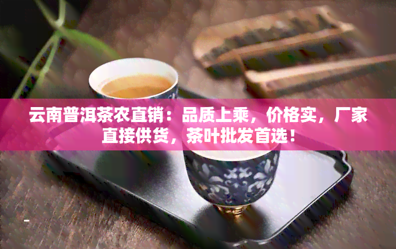 云南普洱茶农直销：品质上乘，价格实，厂家直接供货，茶叶批发首选！