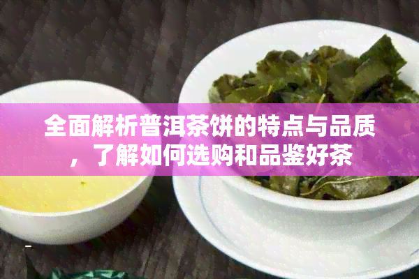 全面解析普洱茶饼的特点与品质，了解如何选购和品鉴好茶