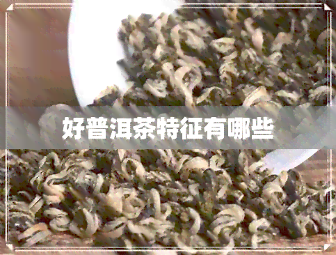 好普洱茶特征有哪些