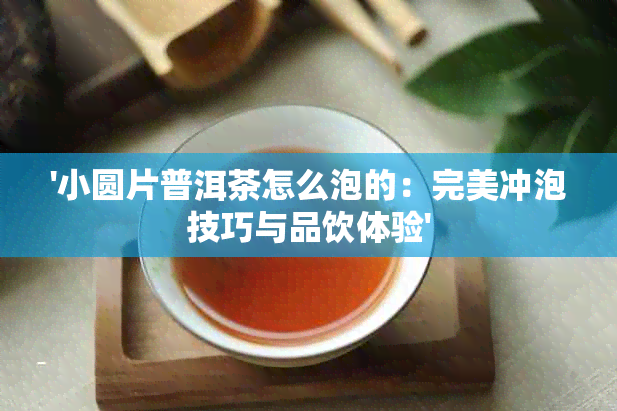 '小圆片普洱茶怎么泡的：完美冲泡技巧与品饮体验'