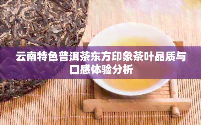 云南特色普洱茶东方印象茶叶品质与口感体验分析