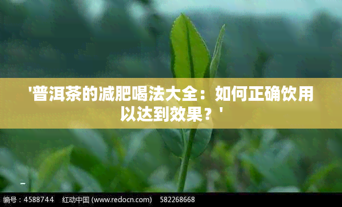 '普洱茶的减肥喝法大全：如何正确饮用以达到效果？'