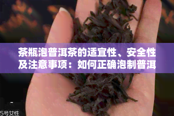 茶瓶泡普洱茶的适宜性、安全性及注意事项：如何正确泡制普洱茶？