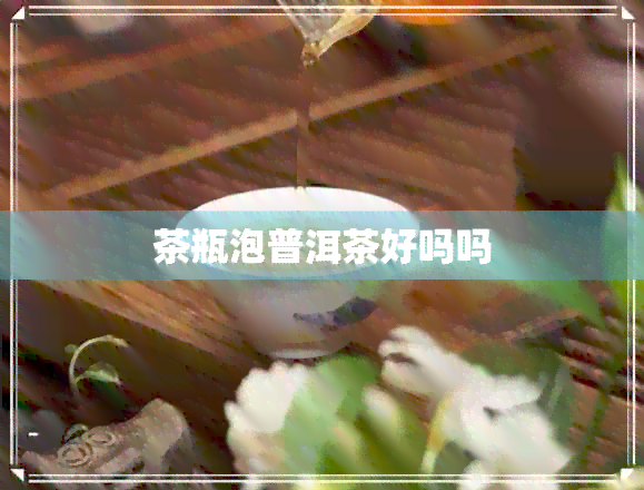 茶瓶泡普洱茶好吗吗