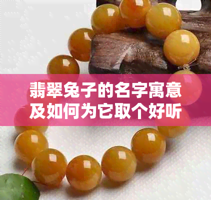 翡翠兔子的名字寓意及如何为它取个好听的名字