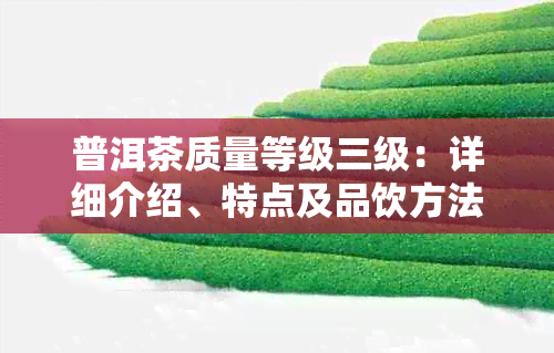 普洱茶质量等级三级：详细介绍、特点及品饮方法，助您选购优质普洱茶