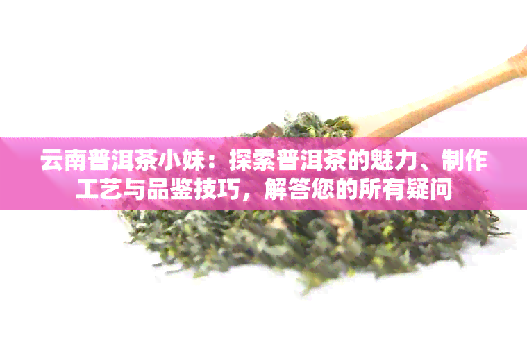 云南普洱茶小妹：探索普洱茶的魅力、制作工艺与品鉴技巧，解答您的所有疑问