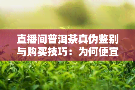 直播间普洱茶真伪鉴别与购买技巧：为何便宜？哪些可信？常见骗局有哪些？