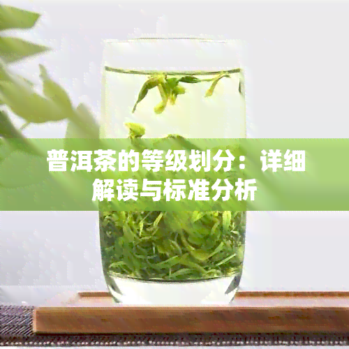 普洱茶的等级划分：详细解读与标准分析