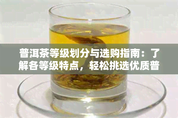 普洱茶等级划分与选购指南：了解各等级特点，轻松挑选优质普洱茶