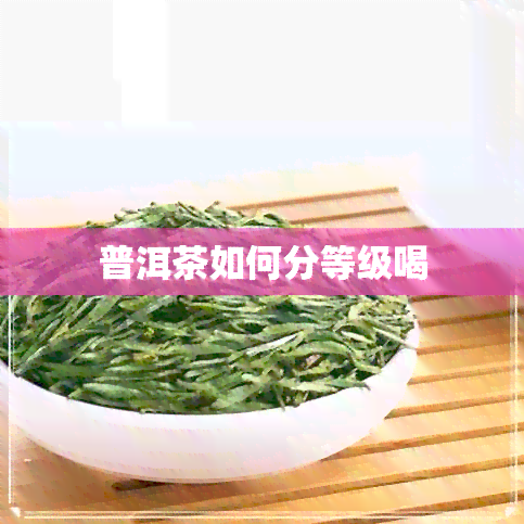 普洱茶如何分等级喝