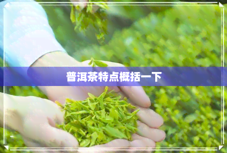 普洱茶特点概括一下