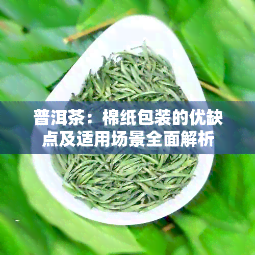 普洱茶：棉纸包装的优缺点及适用场景全面解析