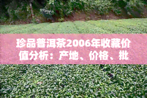 珍品普洱茶2006年收藏价值分析：产地、价格、批发、阿里货源全解析