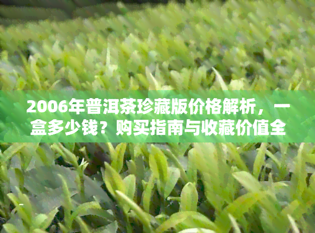 2006年普洱茶珍藏版价格解析，一盒多少钱？购买指南与收藏价值全面了解