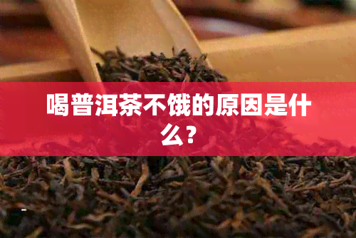 喝普洱茶不饿的原因是什么？